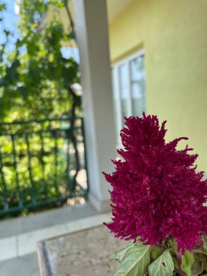 Apartments Mornar Poljica  外观 照片