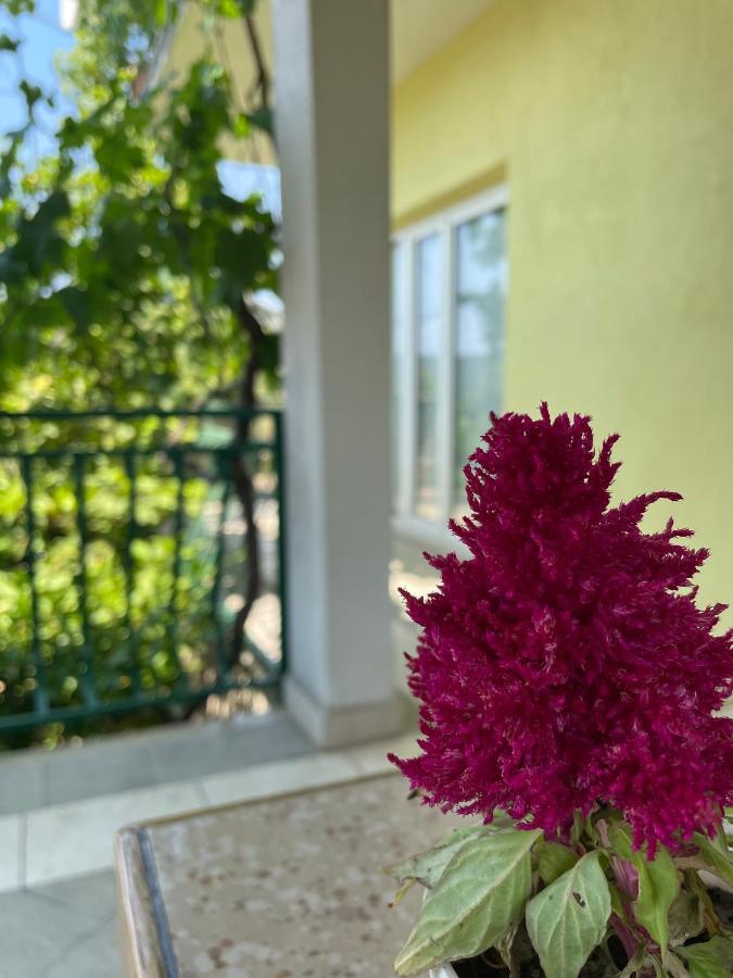 Apartments Mornar Poljica  外观 照片
